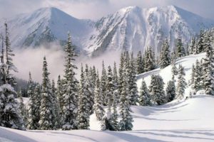 mountain, Snow, Winter, Bursa, Turkey, Trees