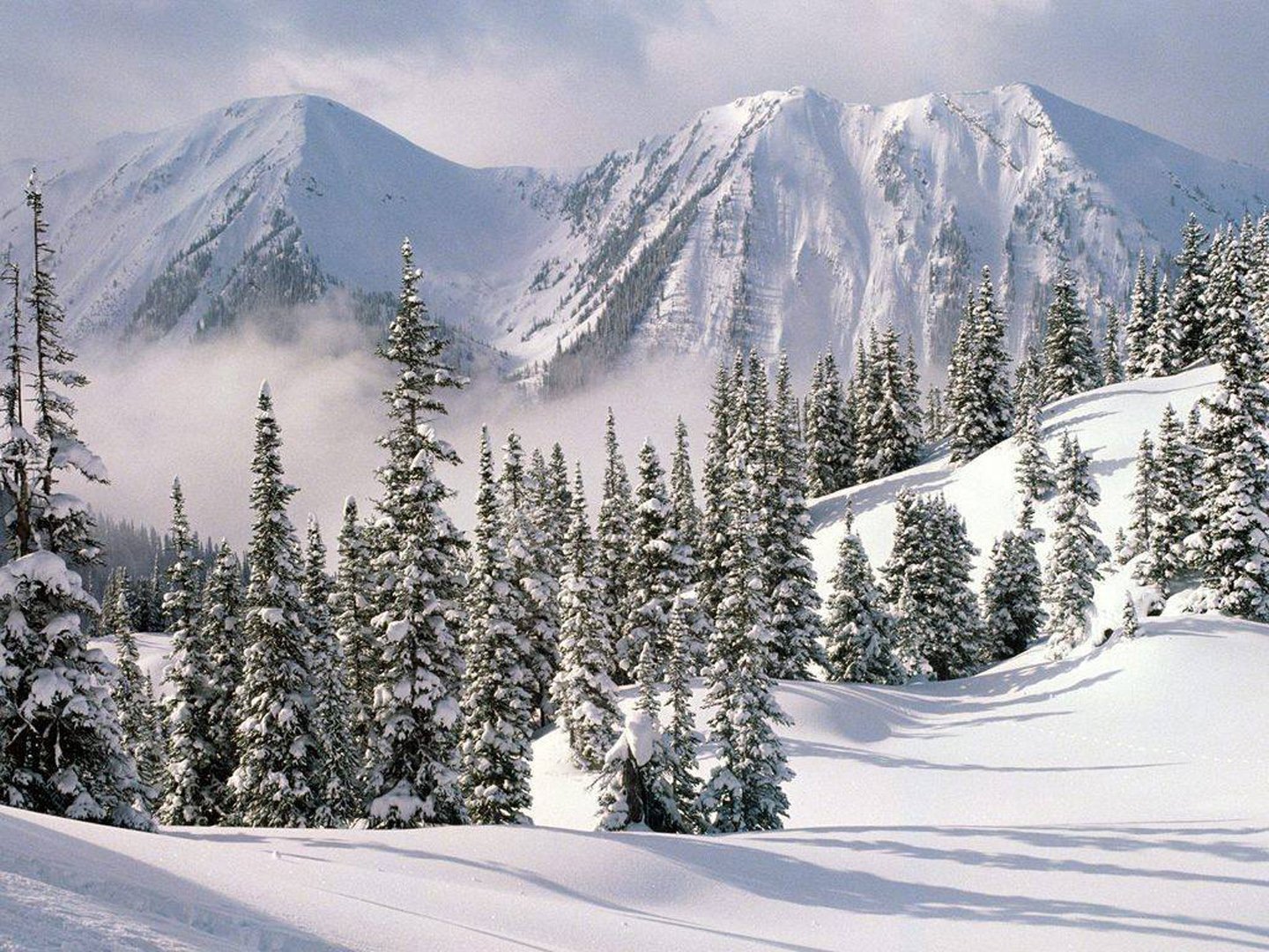 mountain, Snow, Winter, Bursa, Turkey, Trees Wallpaper