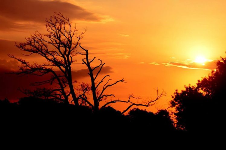 sunset, Bursa, Turkey, Trees, Sky, Landscape, Sunshine, Sun, Sunlight HD Wallpaper Desktop Background