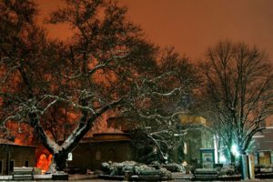 ulu, Cami, Bursa, Turkey, City, Night, Snow, Winter, Tree, Beautiful, Landscape