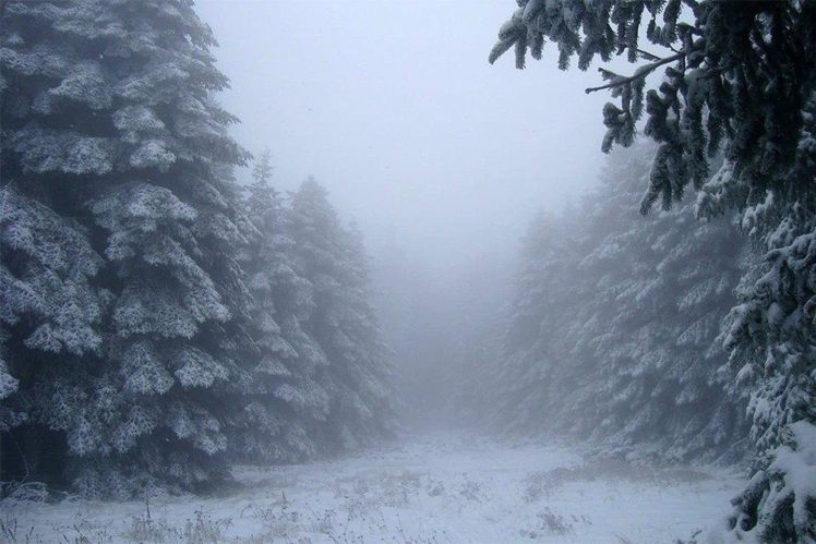 bursa, Turkey, Beautiful, Winter, Snow, Landscape, Pinery HD Wallpaper Desktop Background