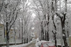bursa, Turkey, Beautiful, Winter, Snow, Landscape, Cars, Trees, Road