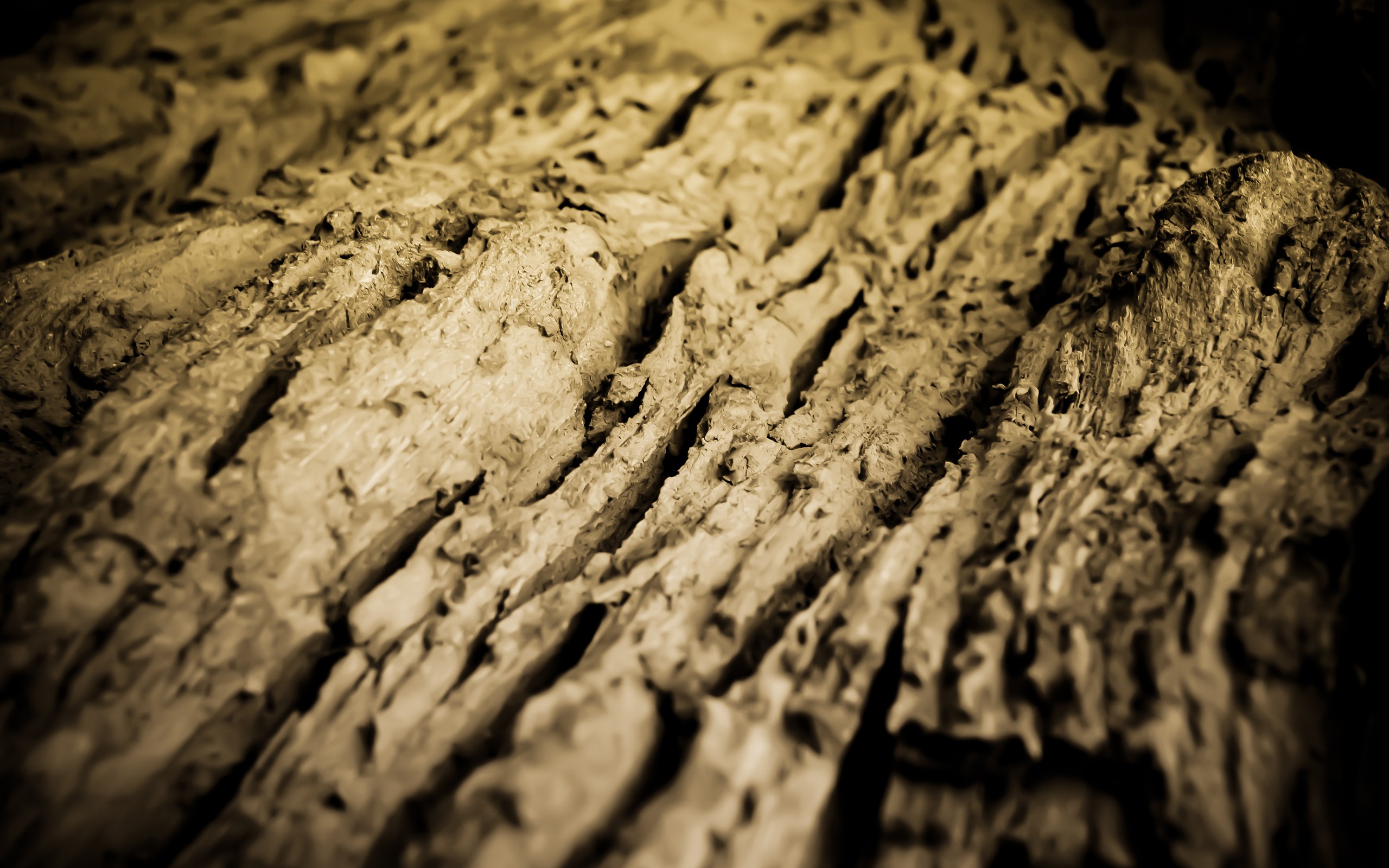 wood Wallpaper