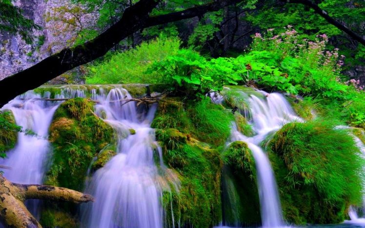 forest, Waterfalls HD Wallpaper Desktop Background