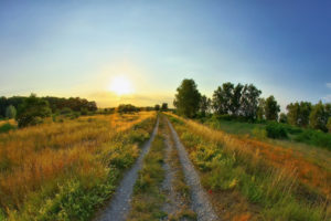road, Clearing, Summer, Sun, Sunrise, Sky, Landscapes, Fields, Grass