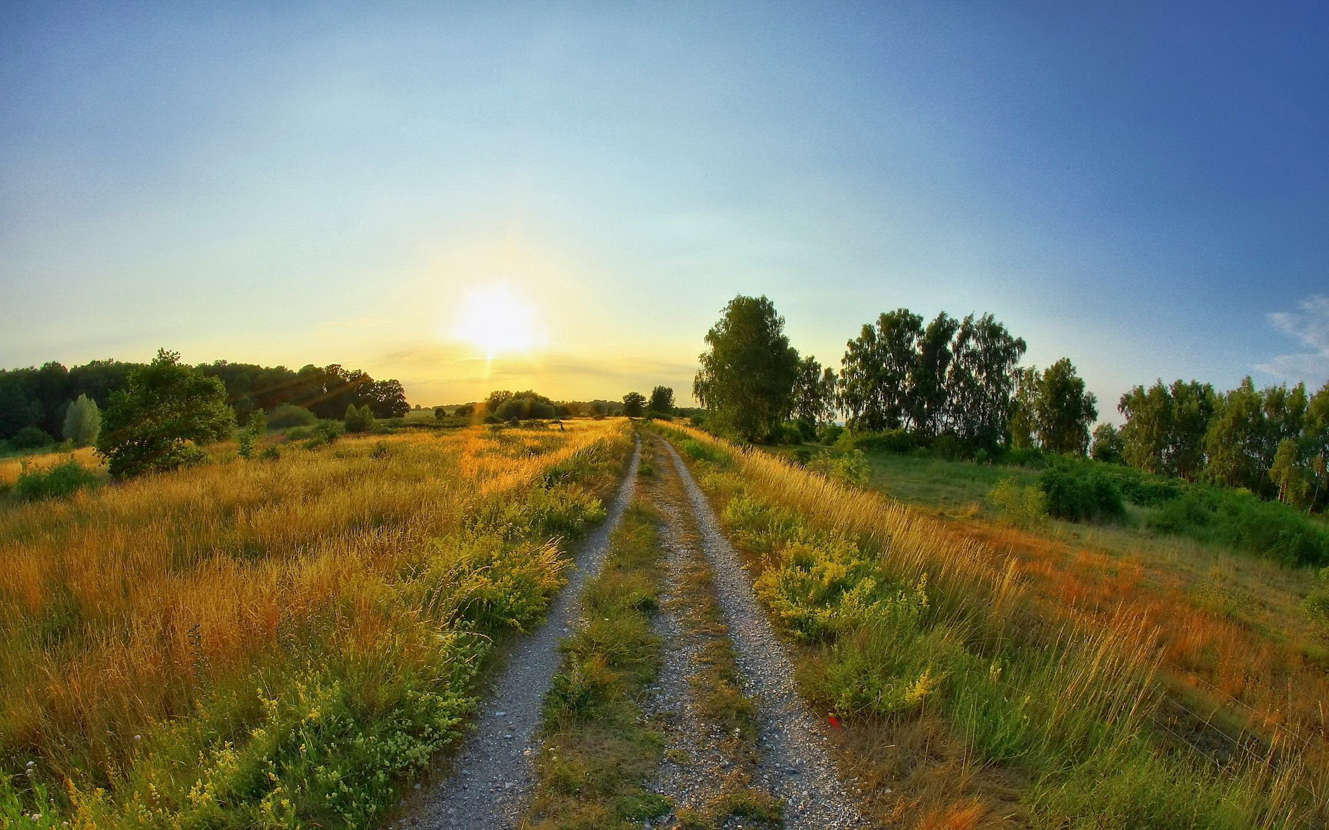road, Clearing, Summer, Sun, Sunrise, Sky, Landscapes, Fields, Grass Wallpaper