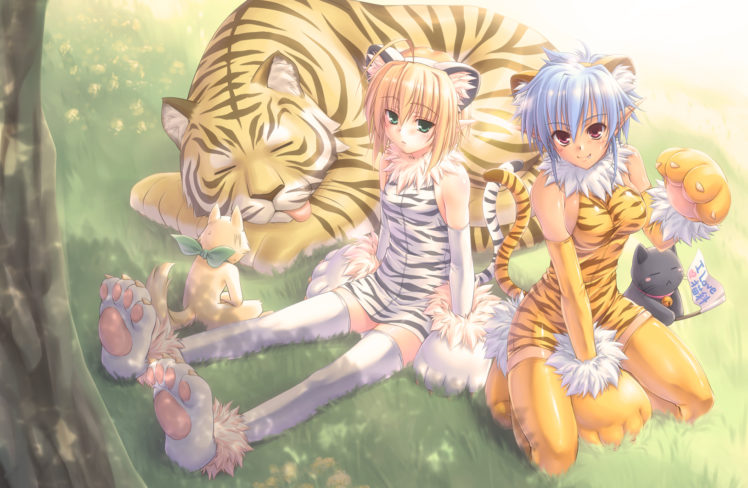 animal, Ears, Cat, Fang, Kuroneko, Sakon, Original, Tail, Thighhighs, Tiger HD Wallpaper Desktop Background