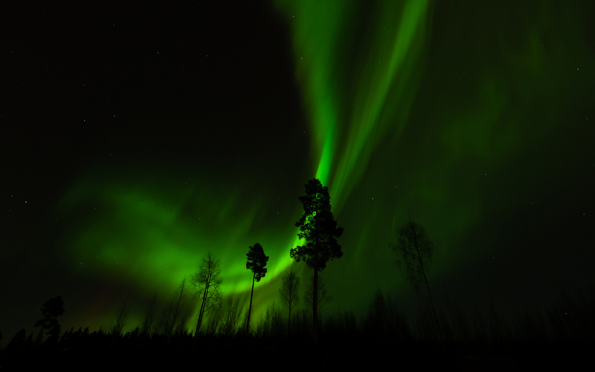 aurora, Borealis, Northern, Lights, Night, Green, Trees, Stars, Sky, Landscapes Wallpaper