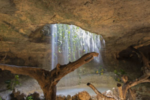 cave, Jungle, Forest, Branches, Vines, Water, Waterfall, Landscapes, Pool