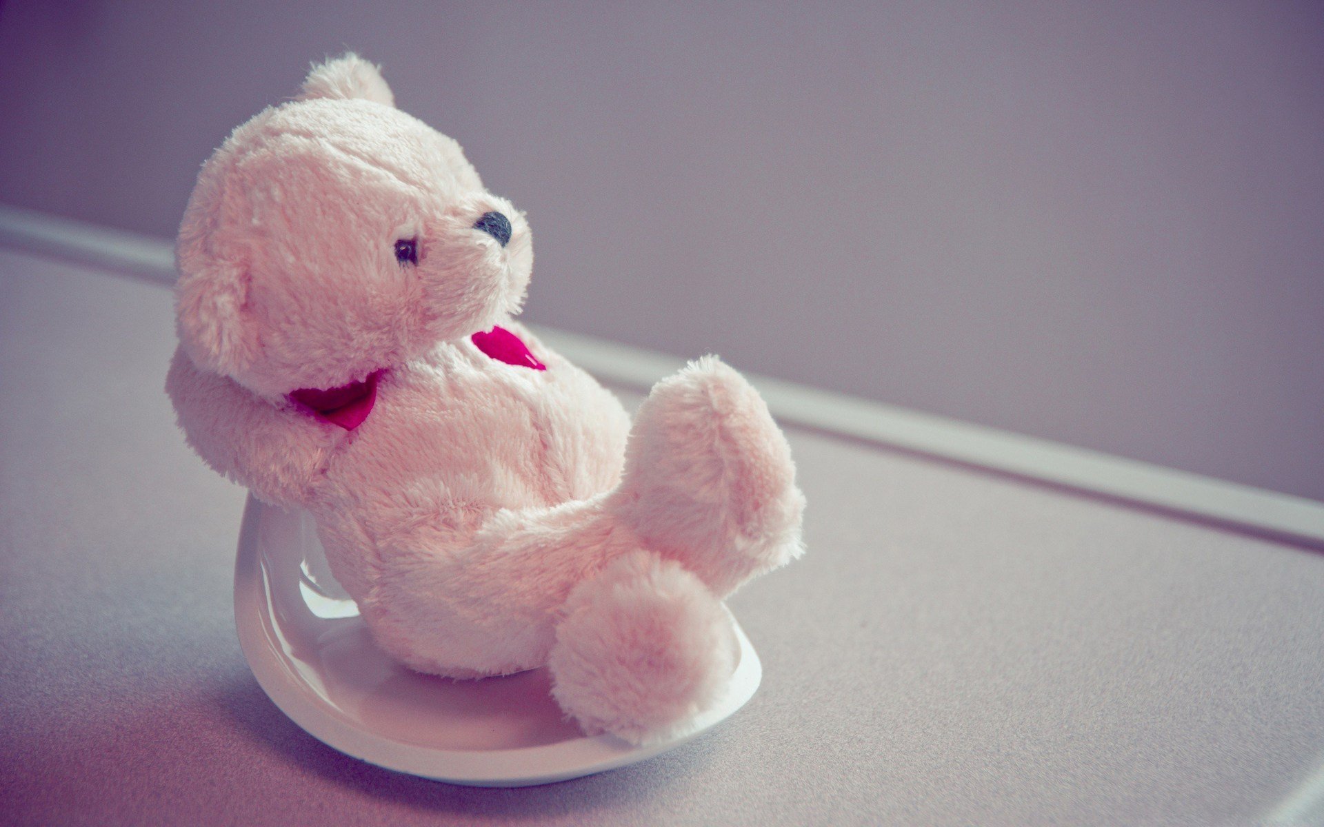 pink, Teddy, Bear Wallpaper