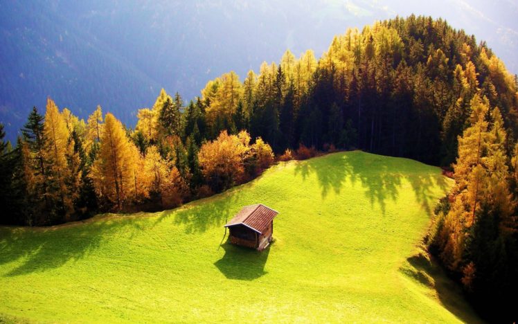 beautiful, Landscape, Grass, Tree, Forest, House HD Wallpaper Desktop Background
