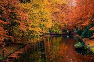 river, Tree, Autumn, Lake, Water, Forest, Landscape