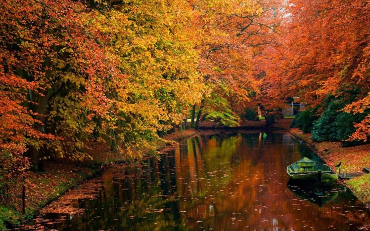 river, Tree, Autumn, Lake, Water, Forest, Landscape HD Wallpaper Desktop Background
