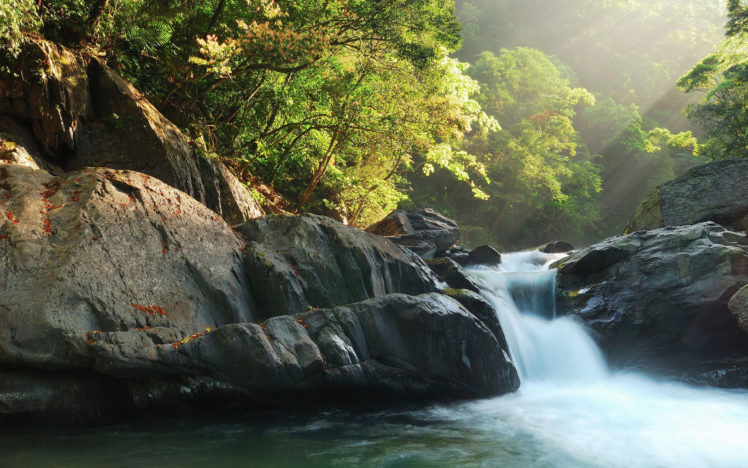 waterfall, Forest, Trees, Rocks, Stones, Rivers, Streams, Sunlight, Rays HD Wallpaper Desktop Background