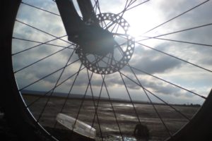 sun, Through, Bike, Disc