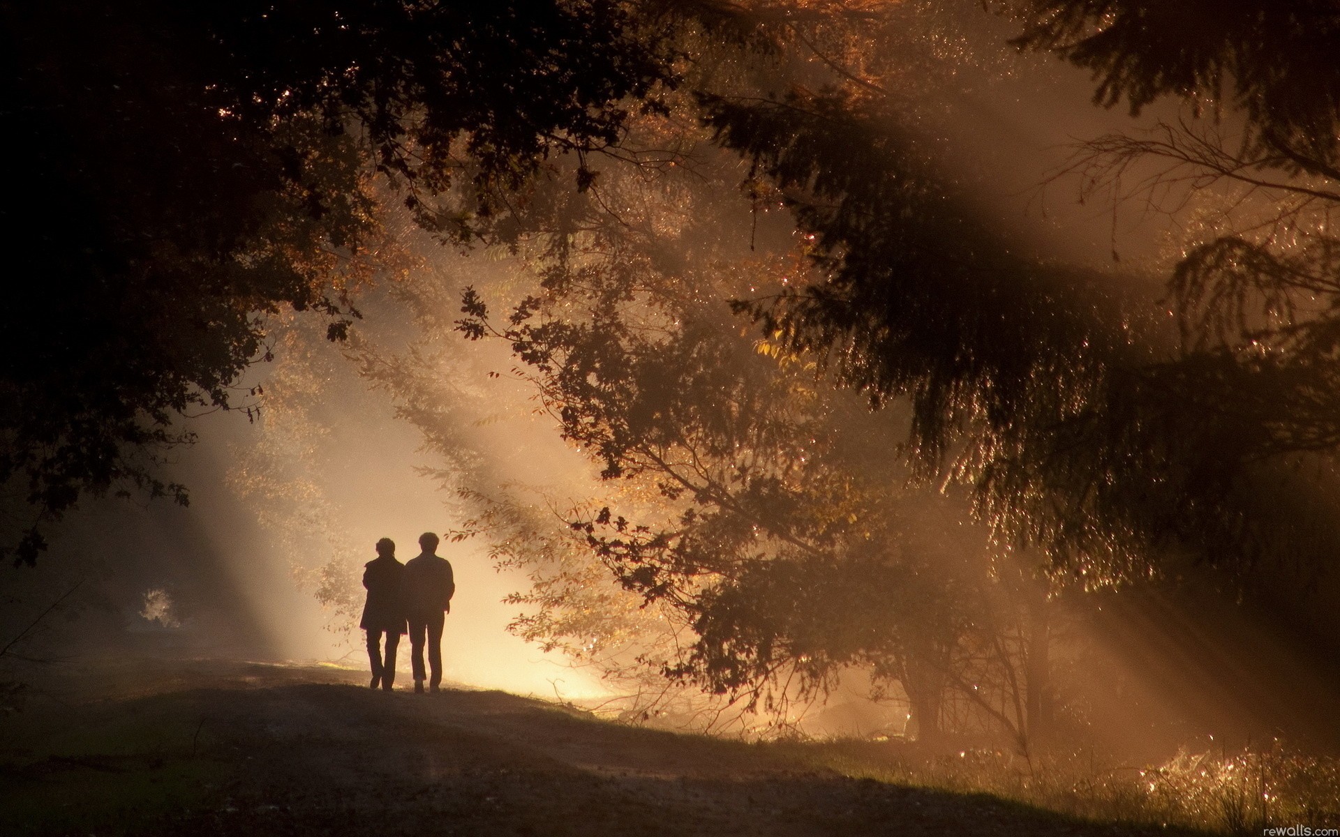 forest, Shadows, Trees, Sunlight, Couple, Love, Romance, Mood Wallpaper