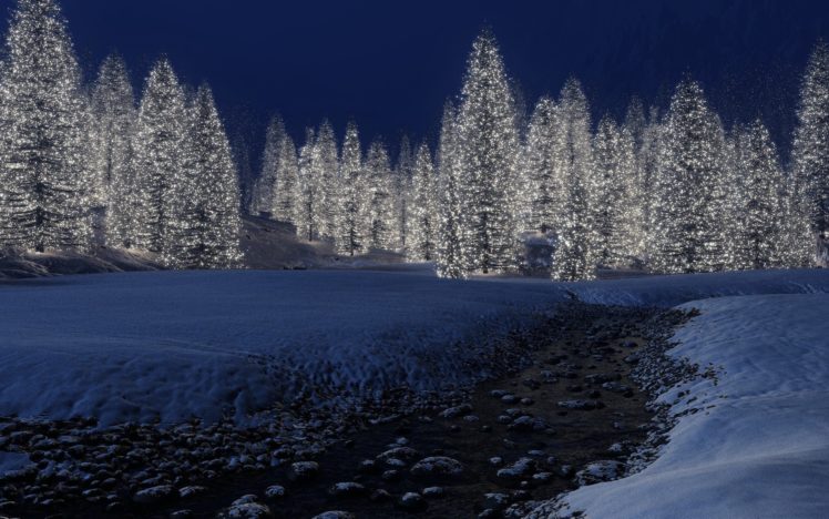 landscapes, Forest, Tree, Night HD Wallpaper Desktop Background
