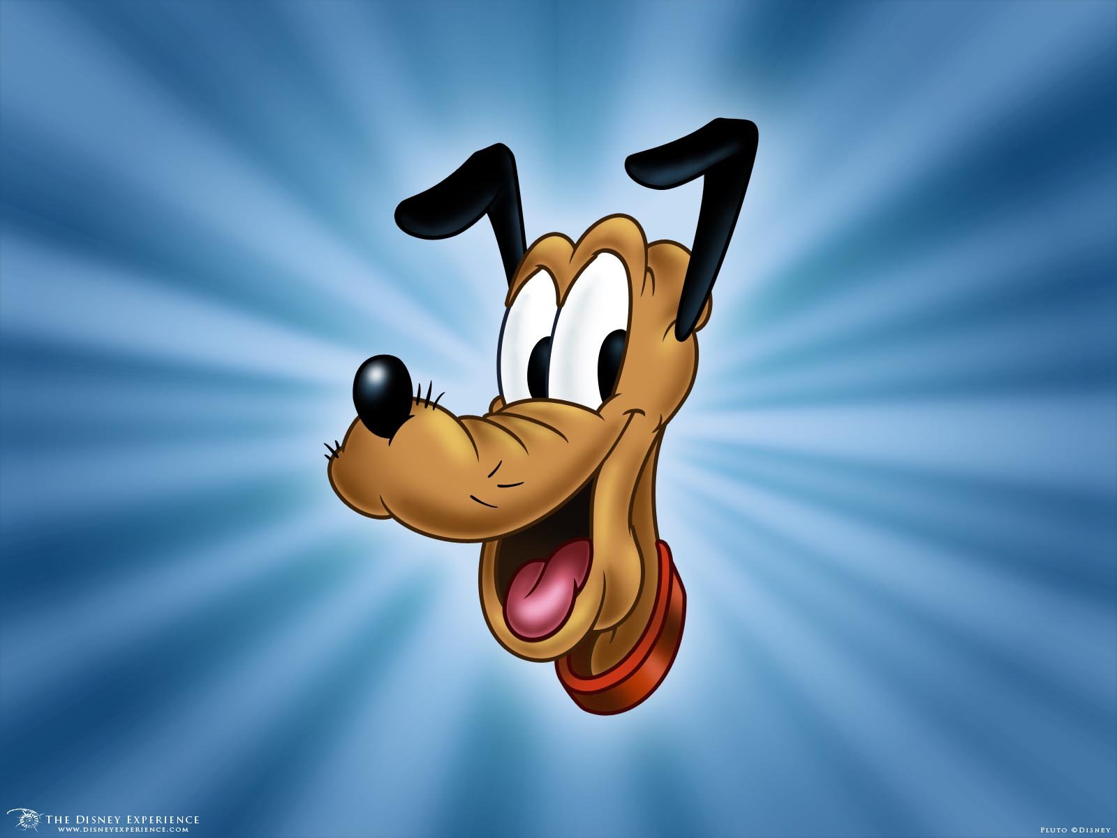 pluto, Disney, Animation, Family, Dog, Dogs, Comedy, 1pluto Wallpaper