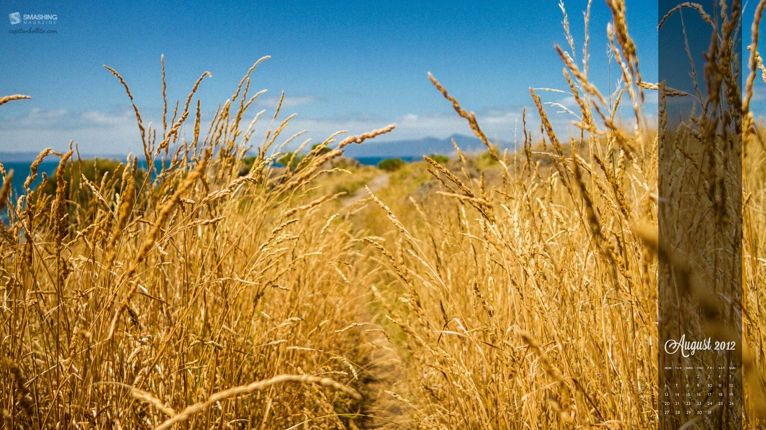 nature, Wheat, August, Calendar, Smashing, Magazine Wallpapers HD ...