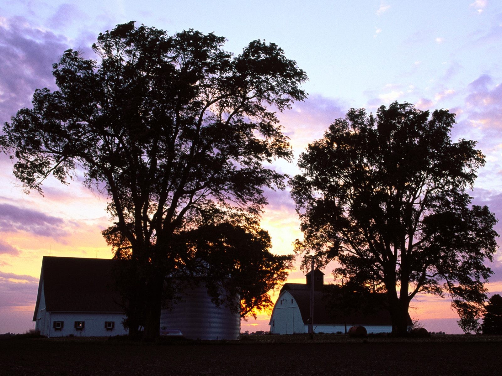 Sunrise Sunset Sky Trees Buildings Houses Rustic Wallpapers Hd