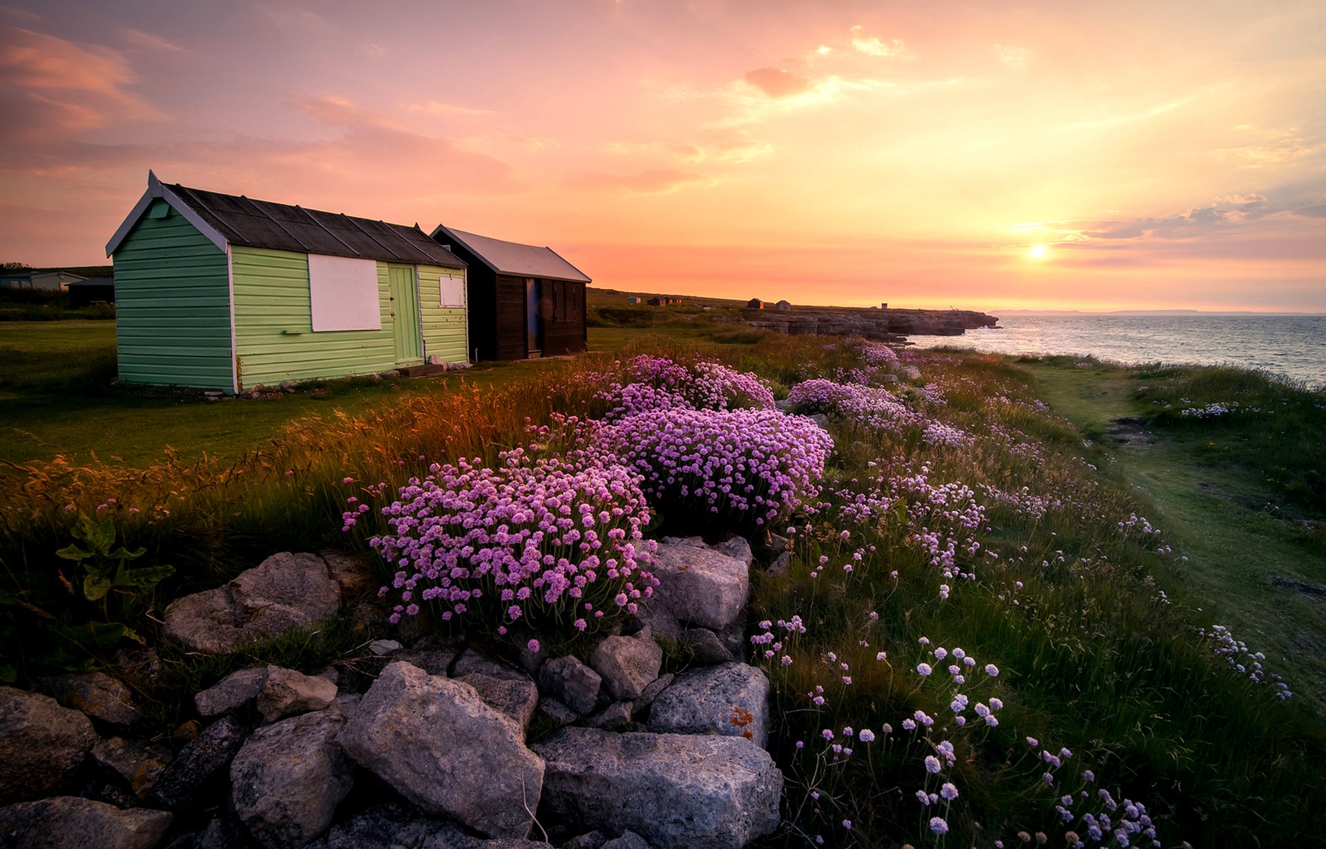 england, Flowers, Island, Portland, Dorset, United, Kingdom, England, Flowers, Rocks, Huts, Sun, Sunrise, Landscape Wallpaper
