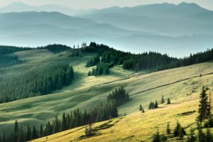 field, Forest, Carpathians, Mountains, Ukraine