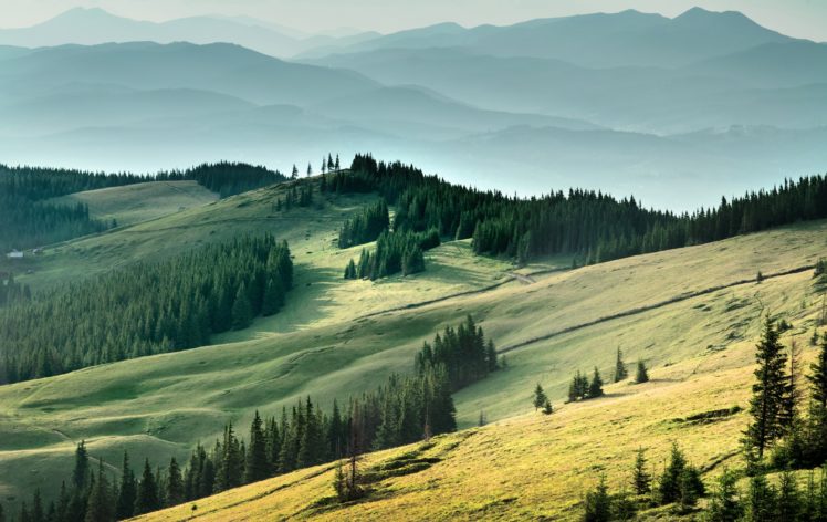 field, Forest, Carpathians, Mountains, Ukraine HD Wallpaper Desktop Background