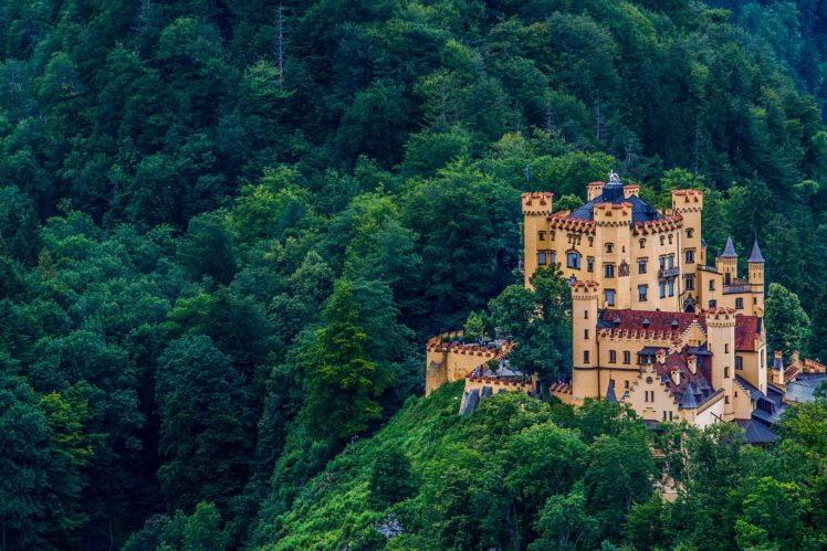 hohenschwangau, Castle, Bavaria, Germany, Castle, Forest HD Wallpaper Desktop Background