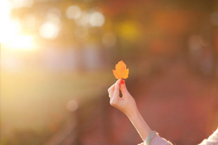 mood, Girl, Hand, Leaf, Leaf, Blur, Autumn, Bokeh HD Wallpaper Desktop Background