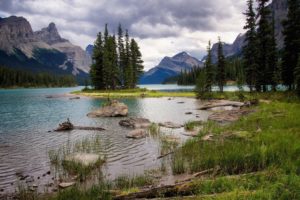 maligne, Lake, Jasper, National, Park, Canada, Lake, Mountains, Trees, Landscape