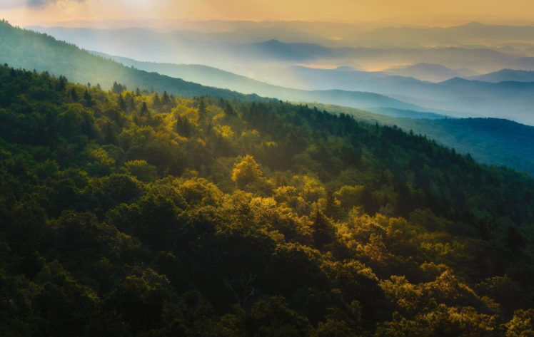 mountains, Forest, Autumn, Nature, Panorama, Sunrise HD Wallpaper Desktop Background