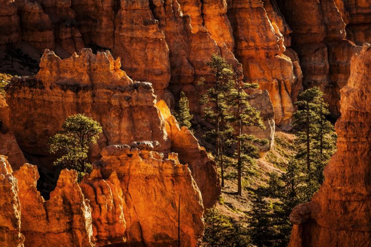 mountains, Rocks, Usa, Utah, Bryce, Canyon, National, Park HD Wallpaper Desktop Background