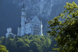 neuschwanstein, Castle, Bavaria, Germany, Castle, Forest, Trees