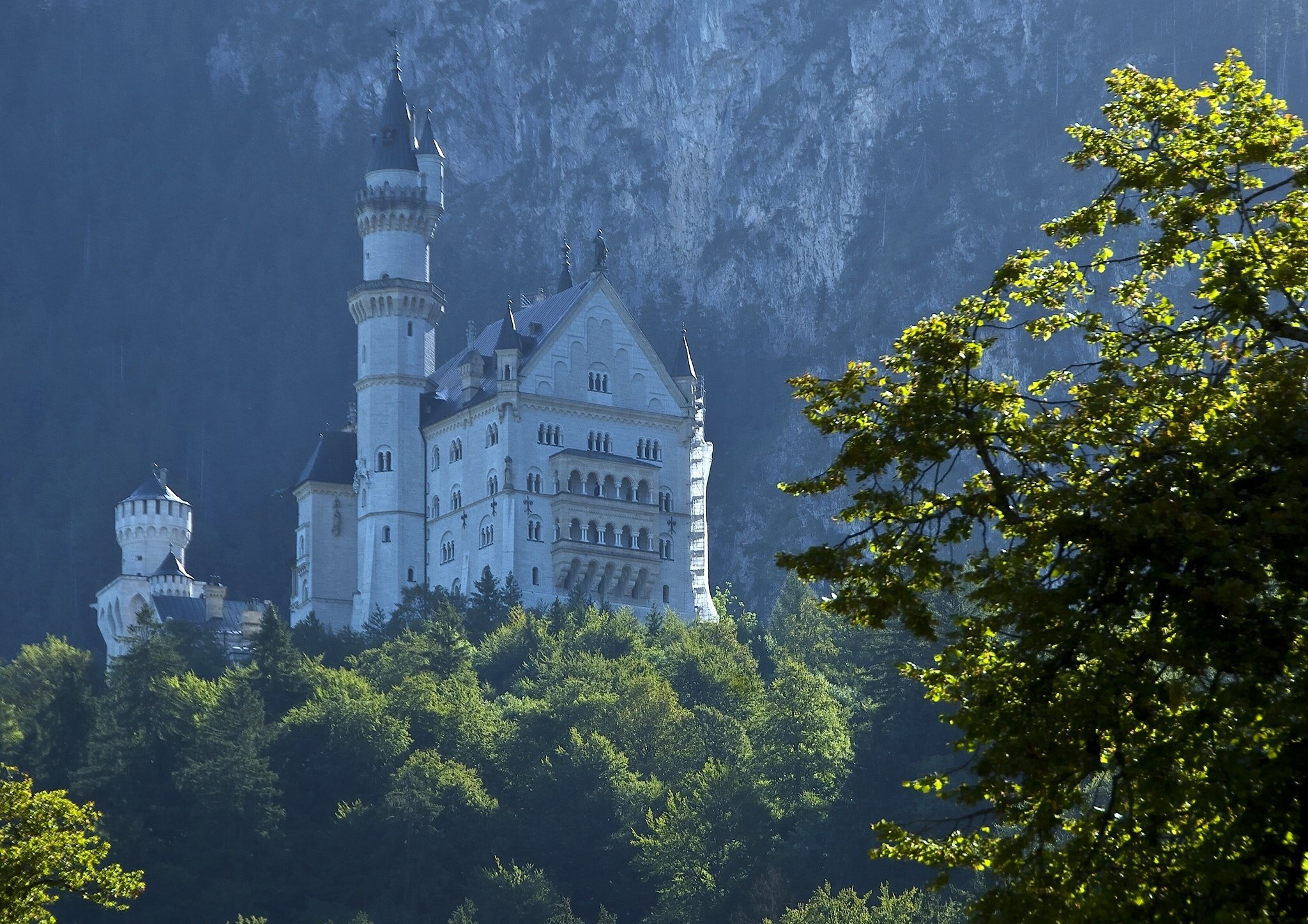 neuschwanstein, Castle, Bavaria, Germany, Castle, Forest, Trees Wallpaper