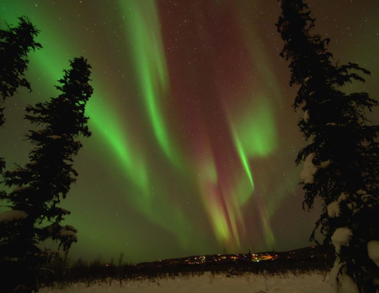northern, Lights, Winter, Snow, Trees, Spruce, Alaska, Night, Stars HD Wallpaper Desktop Background