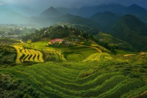 rice, Terraces, Vietnam, Mountains, Clouds, Terraces, Rice, Vietnam