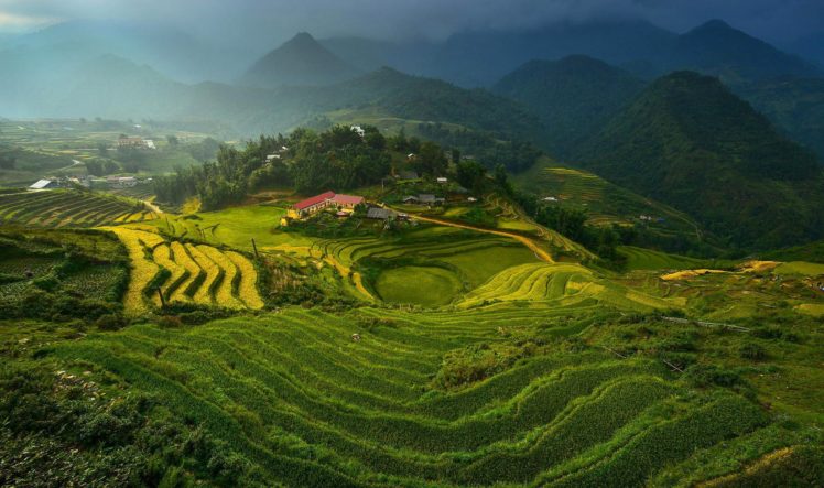 rice, Terraces, Vietnam, Mountains, Clouds, Terraces, Rice, Vietnam HD Wallpaper Desktop Background