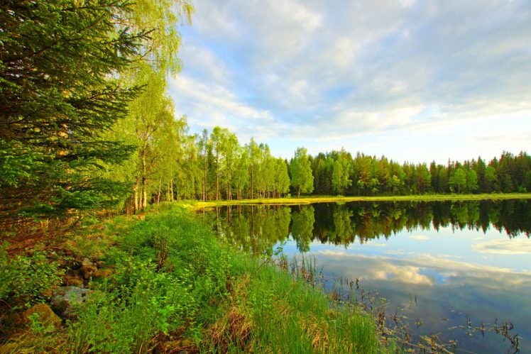 sky, Clouds, Forest, Trees, River, Pond, Lake, Reflection HD Wallpaper Desktop Background