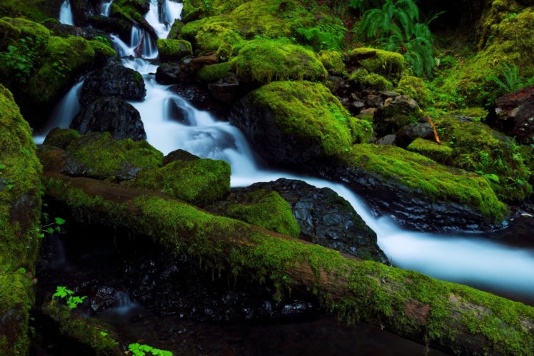 stones, Moss, Waterfall, River, Columbia, Oregon, United, States, Forest HD Wallpaper Desktop Background