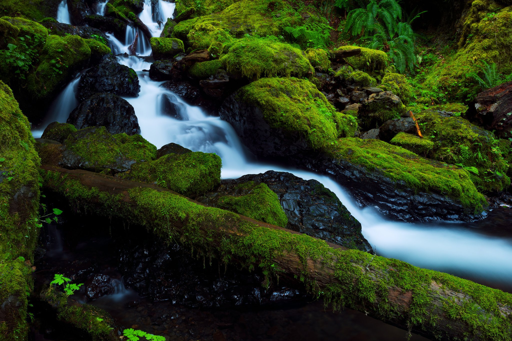 Stones Moss Waterfall River Columbia Oregon United States