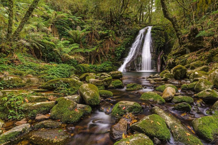 stones, Moss, Wood, Leaves, Waterfall, River, Australia, Gondwana, Forest HD Wallpaper Desktop Background
