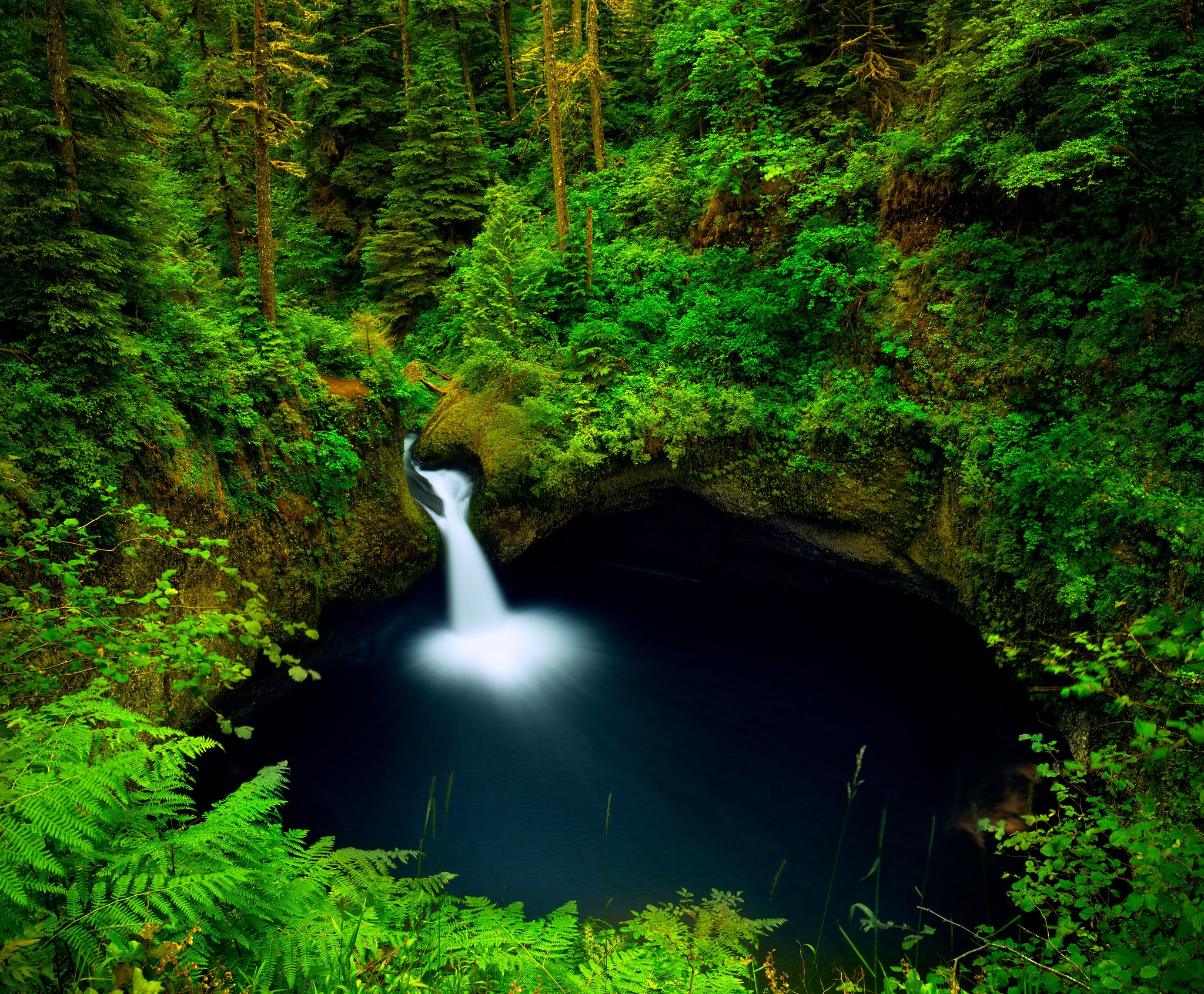 stones, Moss, Waterfall, River, Columbia, Oregon, United, States, Forest, Pool Wallpaper