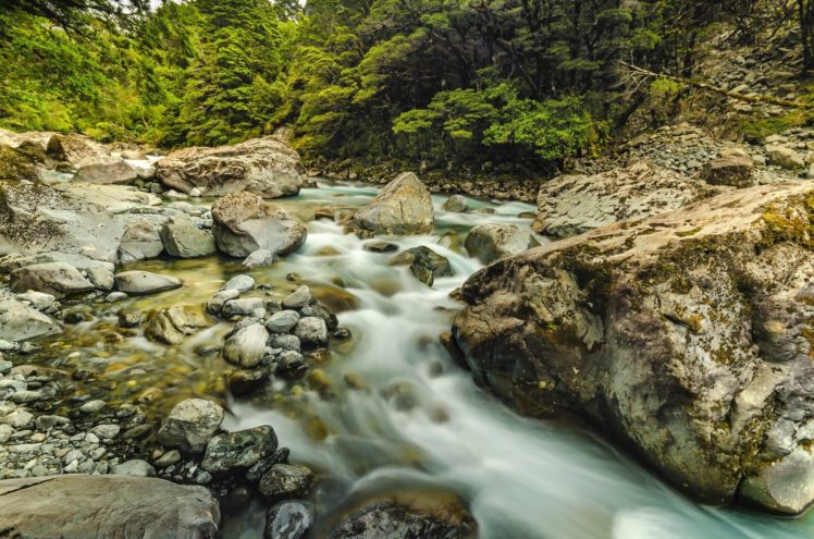 stones, River, Milford, Trees, Ireland, Forest HD Wallpaper Desktop Background