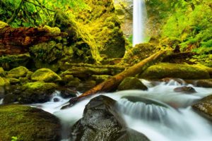 stones, Moss, Waterfall, River, Columbia, Oregon, United, States, Forest