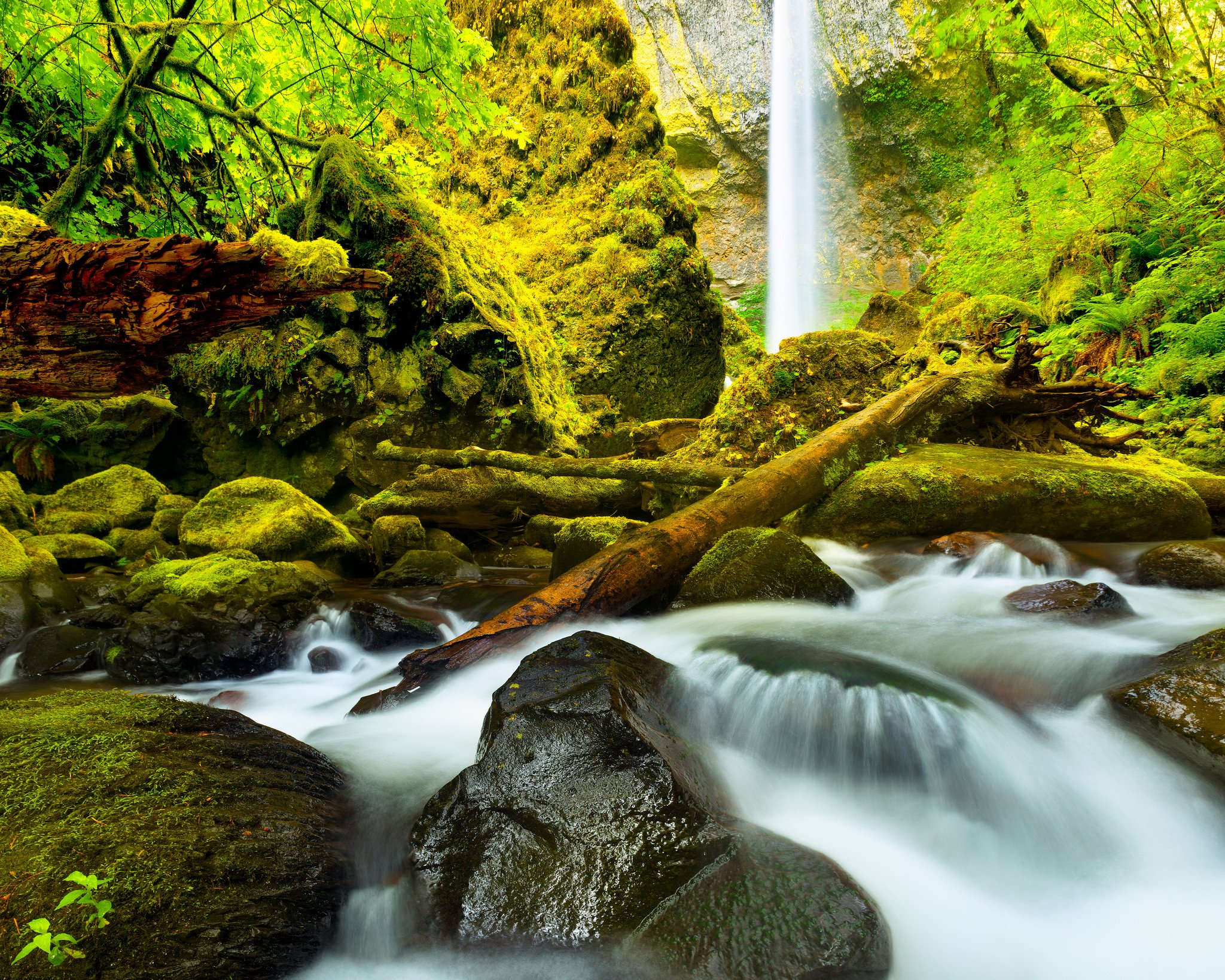 stones, Moss, Waterfall, River, Columbia, Oregon, United, States, Forest Wallpaper