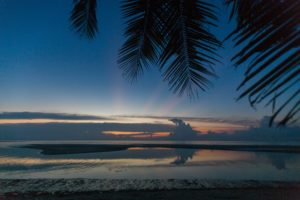 sunset, Palm, Sea, Island, Ocean