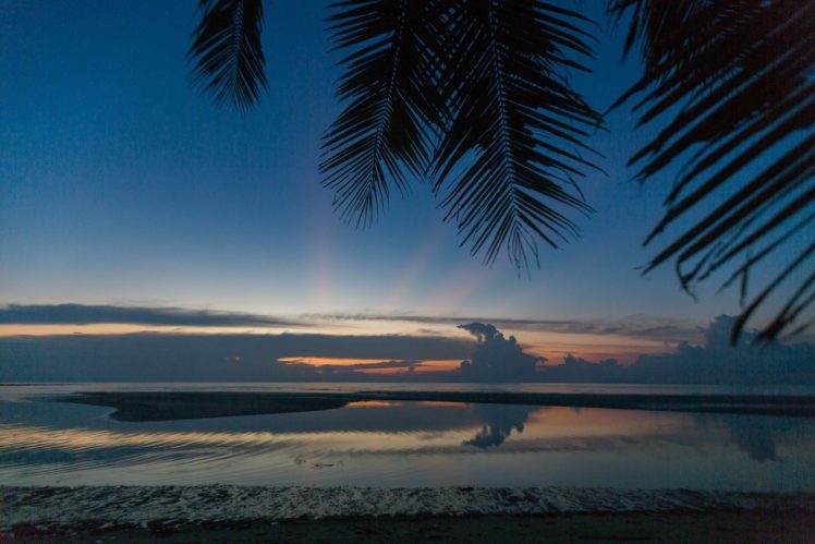 sunset, Palm, Sea, Island, Ocean HD Wallpaper Desktop Background