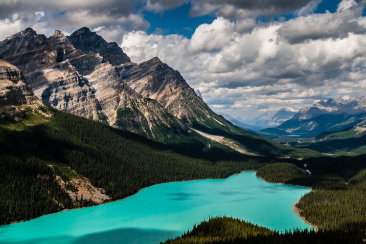 trees, Firs, Alberta, Alberta, Sky, Banff, National, Park, Lake, Forest HD Wallpaper Desktop Background
