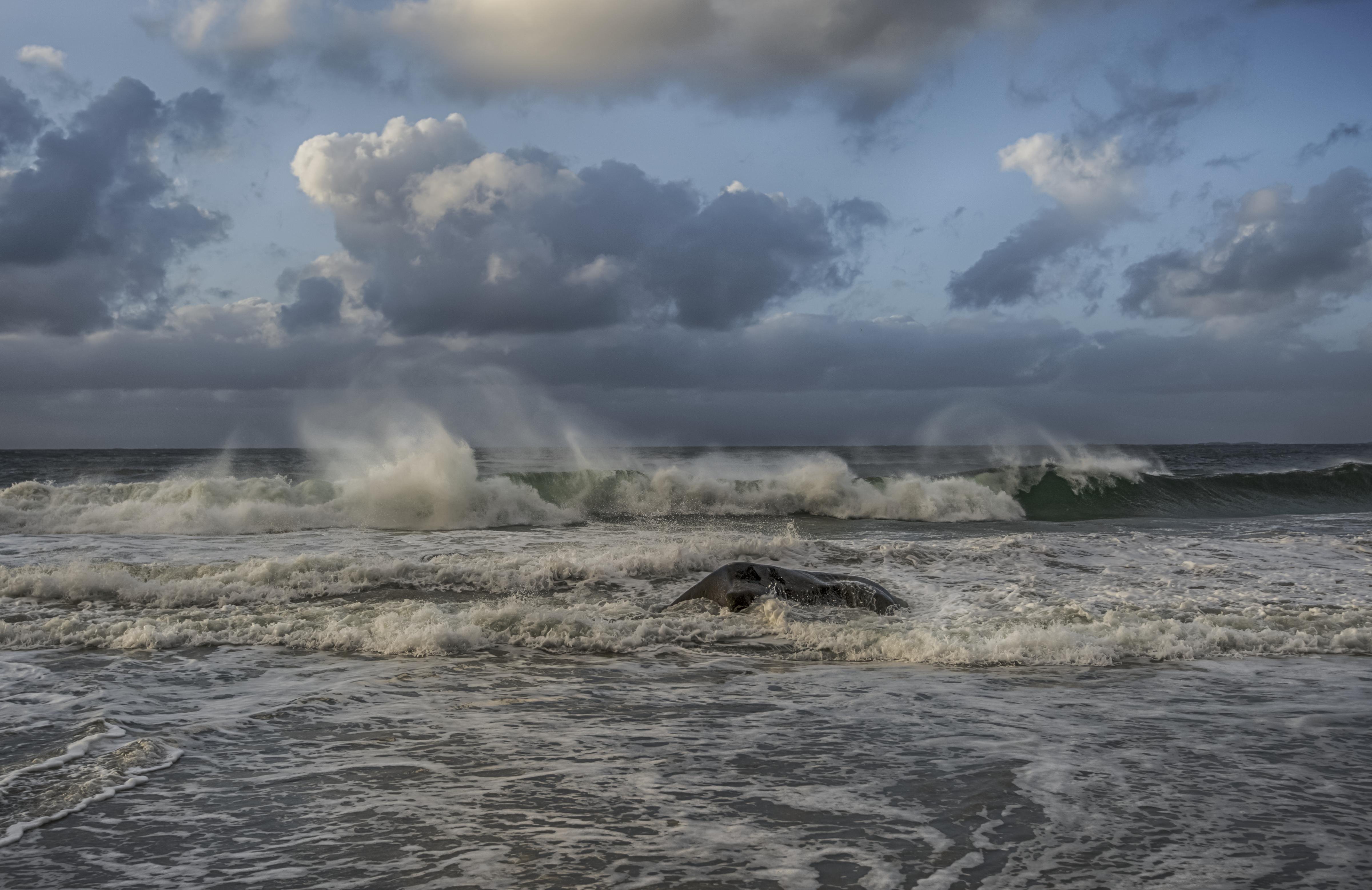waves, Storm, Clouds, Sea, Ocean Wallpaper