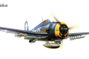 f6f 5p, Hellcat, Military, War, Art, Painting, Airplane, Aircraft, Weapon, Fighter